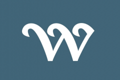 Wave Logo